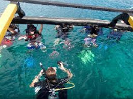 south-shore-divers-davao